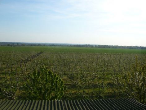 szabadifurdo_010.jpg szabadifurdo_010.jpg